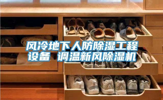 亚洲人成综合第一网站 风冷地下人防除湿工程设备 调温新风除湿机
