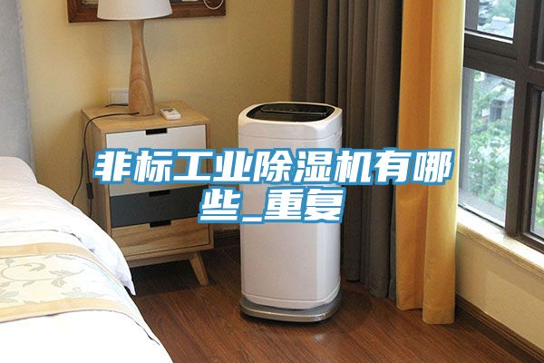 亚洲人成综合第一网站 非标工业除湿机有哪些_重复