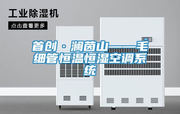 亚洲乱码一区二区三区 首创·澜茵山——毛细管恒温恒湿空调系统