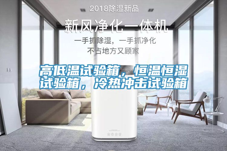 亚洲人成综合第一网站 高低温试验箱，恒温恒湿试验箱，冷热冲击试验箱