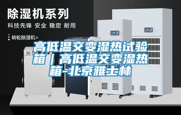 亚洲欧美一级特黄大片 高低温交变湿热试验箱｜高低温交变湿热箱-北京雅士林