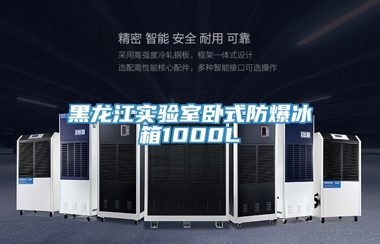 亚洲人成综合第一网站 黑龙江实验室卧式防爆冰箱1000L