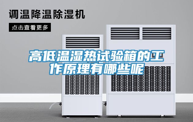亚洲乱码一区二区三区 高低温湿热试验箱的工作原理有哪些呢