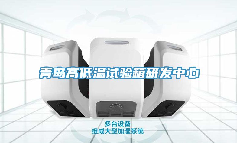 亚洲人成综合第一网站 青岛高低温试验箱研发中心