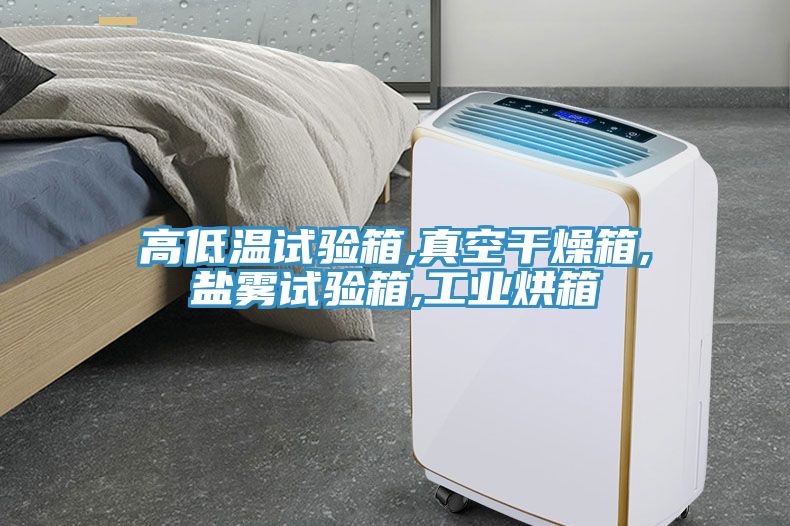 亚洲乱码一区二区三区 高低温试验箱,真空干燥箱,盐雾试验箱,工业烘箱