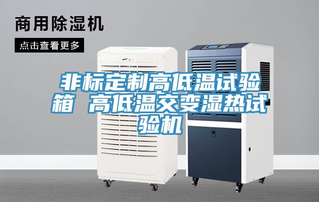 亚洲人成综合第一网站 非标定制高低温试验箱 高低温交变湿热试验机