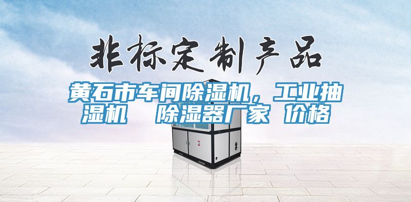 亚洲人成综合第一网站 黄石市车间除湿机，工业抽湿机  除湿器厂家 价格