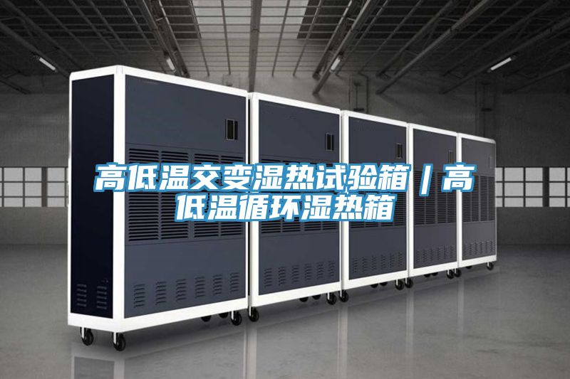 亚洲欧美一级特黄大片 高低温交变湿热试验箱︱高低温循环湿热箱