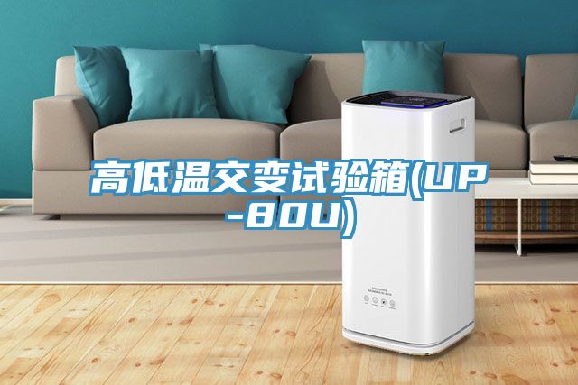亚洲人成综合第一网站 高低温交变试验箱(UP-80U)