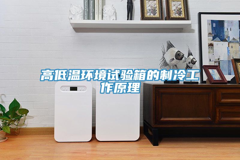 亚洲人成综合第一网站 高低温环境试验箱的制冷工作原理
