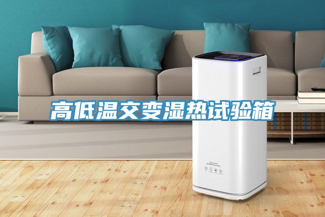 亚洲欧美一级特黄大片 高低温交变湿热试验箱