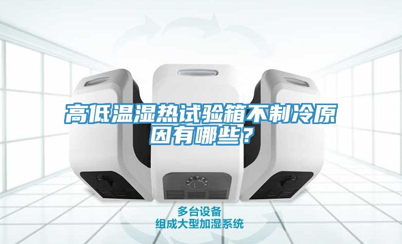 亚洲人成综合第一网站 高低温湿热试验箱不制冷原因有哪些？