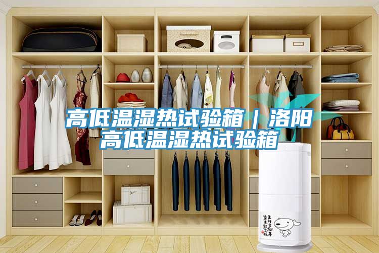 亚洲人成综合第一网站 高低温湿热试验箱｜洛阳高低温湿热试验箱