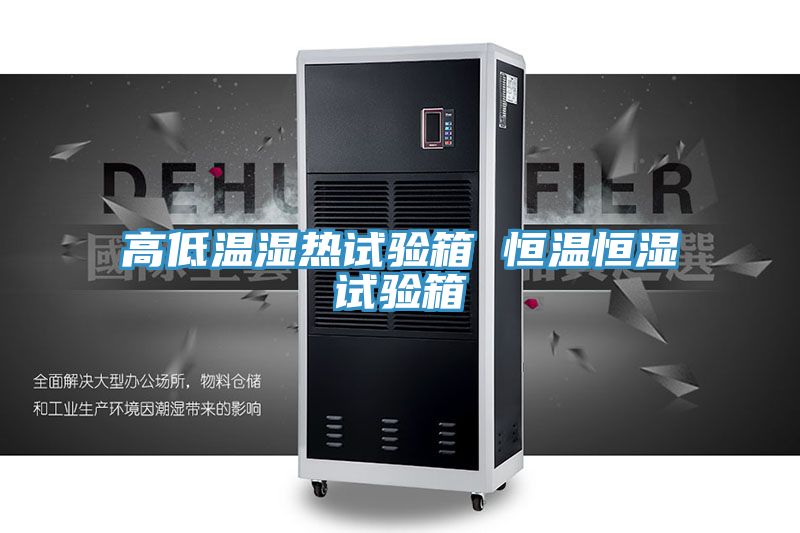 亚洲人成综合第一网站 高低温湿热试验箱 恒温恒湿试验箱