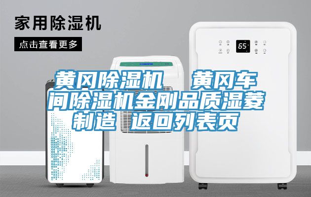 亚洲乱码一区二区三区 黄冈除湿机  黄冈车间除湿机金刚品质湿菱制造 返回列表页