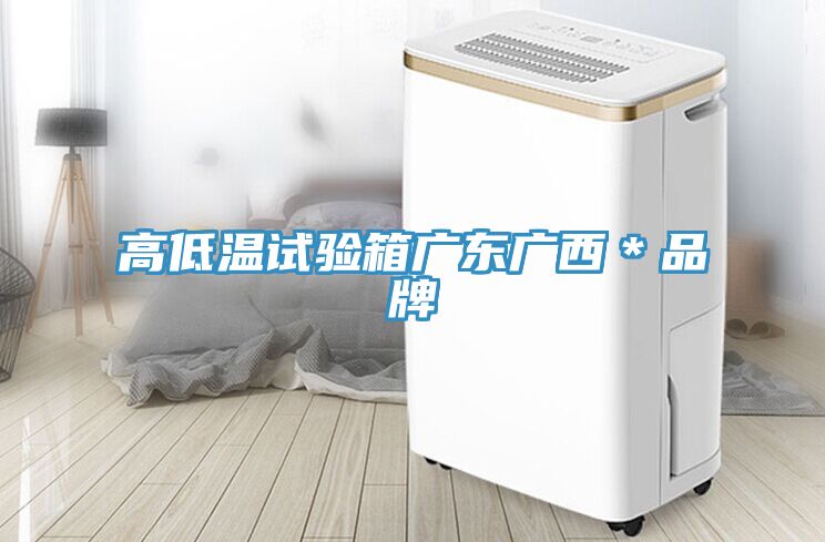 亚洲人成综合第一网站 高低温试验箱广东广西＊品牌
