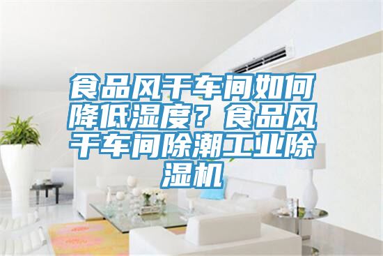 亚洲人成综合第一网站 食品风干车间如何降低湿度？食品风干车间除潮工业除湿机