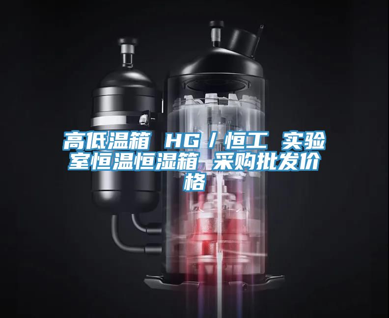 亚洲人成综合第一网站 高低温箱 HG／恒工 实验室恒温恒湿箱 采购批发价格