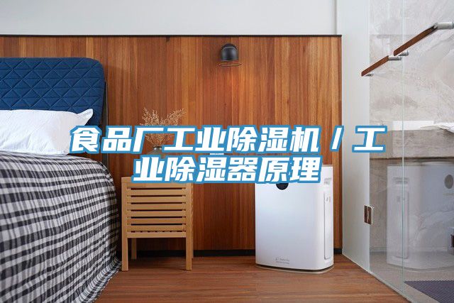 亚洲人成综合第一网站 食品厂工业除湿机／工业除湿器原理