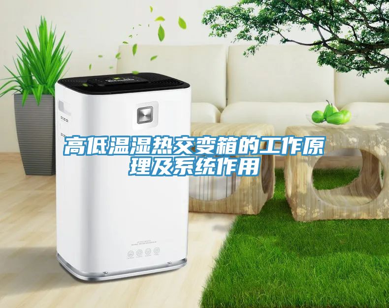 亚洲人成综合第一网站 高低温湿热交变箱的工作原理及系统作用