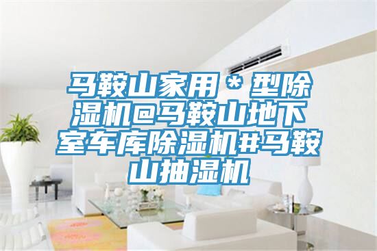 亚洲人成综合第一网站 马鞍山家用＊型除湿机@马鞍山地下室车库除湿机#马鞍山抽湿机