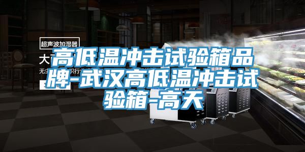 亚洲人成综合第一网站 高低温冲击试验箱品牌-武汉高低温冲击试验箱-高天