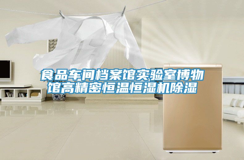 亚洲人成综合第一网站 食品车间档案馆实验室博物馆高精密恒温恒湿机除湿