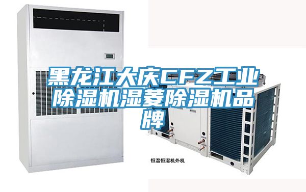 亚洲欧美一级特黄大片 黑龙江大庆CFZ工业除湿机湿菱除湿机品牌