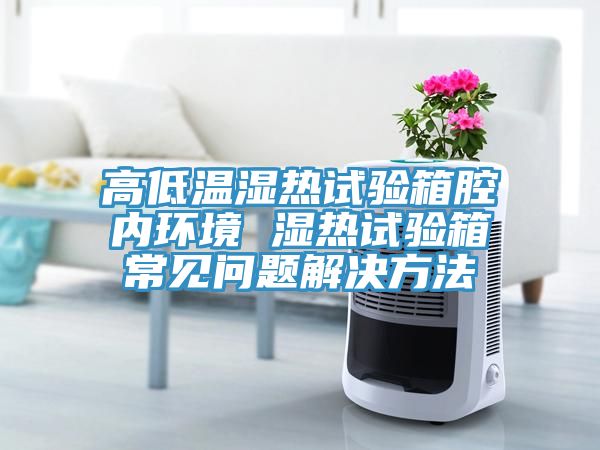 亚洲乱码一区二区三区 高低温湿热试验箱腔内环境 湿热试验箱常见问题解决方法