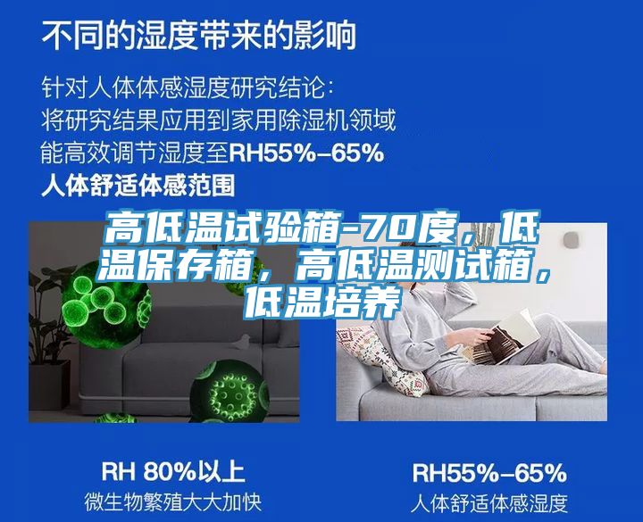 亚洲欧美一级特黄大片 高低温试验箱-70度，低温保存箱，高低温测试箱，低温培养