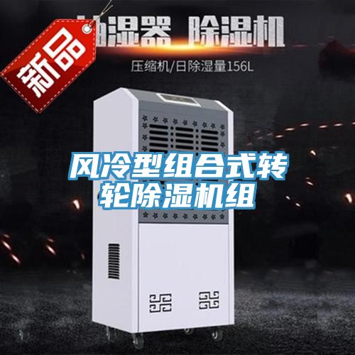 亚洲欧美一级特黄大片 风冷型组合式转轮除湿机组