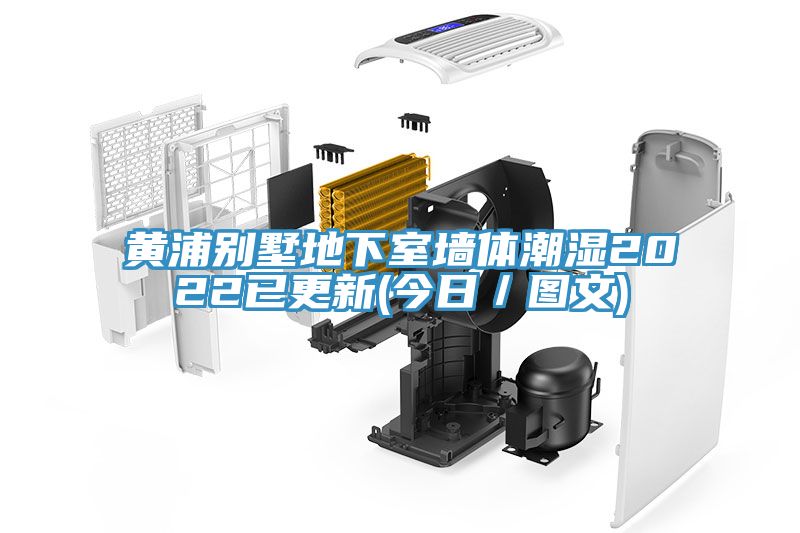 亚洲欧美一级特黄大片 黄浦别墅地下室墙体潮湿2022已更新(今日／图文)