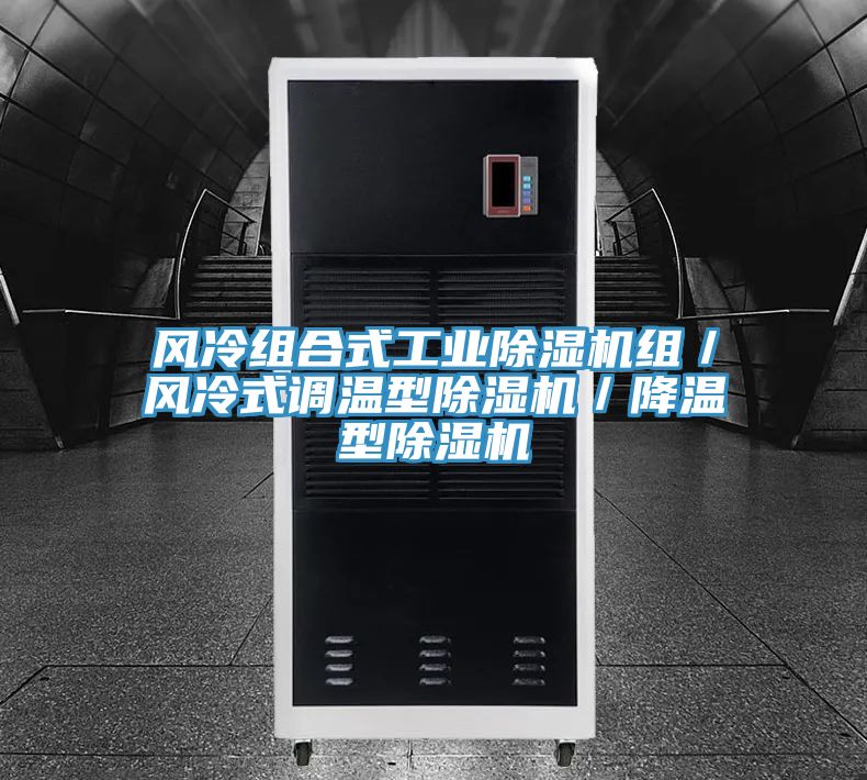 亚洲欧美一级特黄大片 风冷组合式工业除湿机组／风冷式调温型除湿机／降温型除湿机