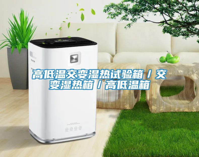 亚洲欧美一级特黄大片 高低温交变湿热试验箱／交变湿热箱／高低温箱