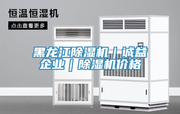 亚洲人成综合第一网站 黑龙江除湿机｜诚益企业｜除湿机价格