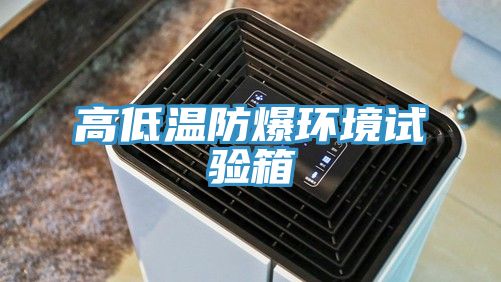 亚洲人成综合第一网站 高低温防爆环境试验箱