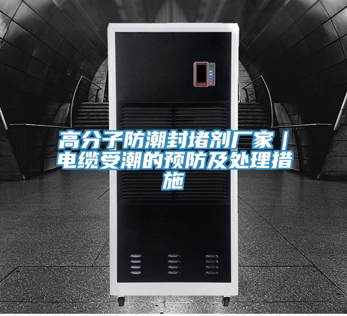 亚洲人成综合第一网站 高分子防潮封堵剂厂家｜电缆受潮的预防及处理措施