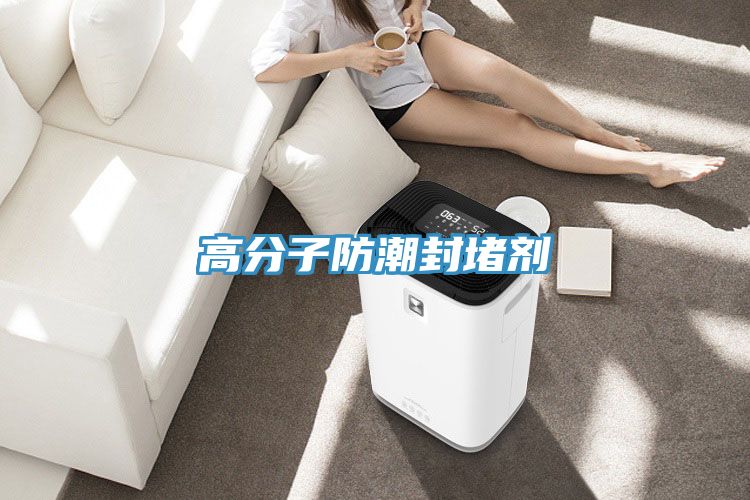 亚洲人成综合第一网站 高分子防潮封堵剂