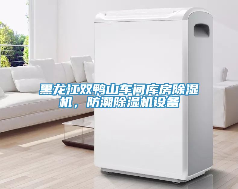 亚洲欧美一级特黄大片 黑龙江双鸭山车间库房除湿机，防潮除湿机设备