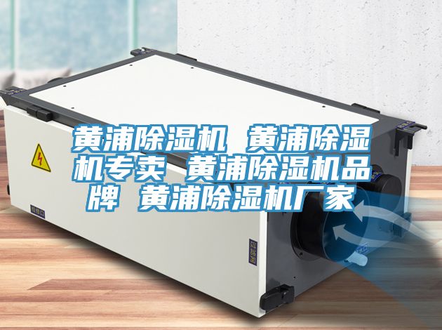 亚洲人成综合第一网站 黄浦除湿机 黄浦除湿机专卖 黄浦除湿机品牌 黄浦除湿机厂家