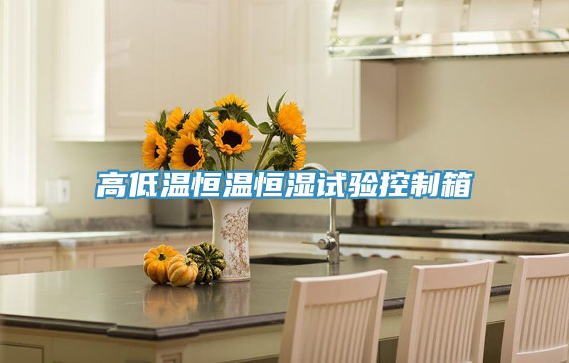 亚洲欧美一级特黄大片 高低温恒温恒湿试验控制箱