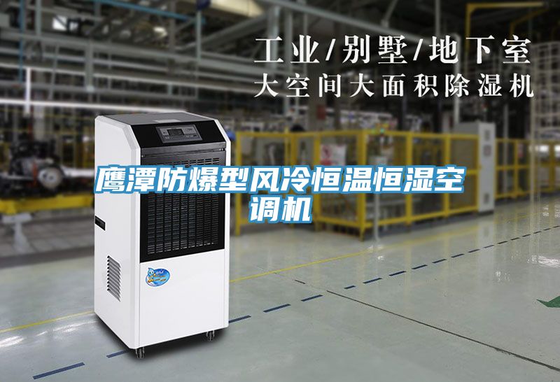 亚洲人成综合第一网站 鹰潭防爆型风冷恒温恒湿空调机