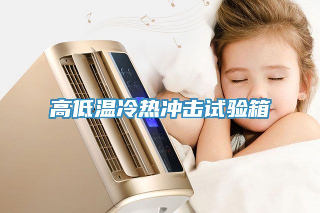 亚洲人成综合第一网站 高低温冷热冲击试验箱