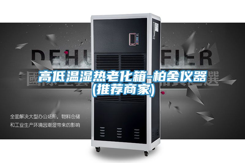 亚洲人成综合第一网站 高低温湿热老化箱-柏舍仪器(推荐商家)