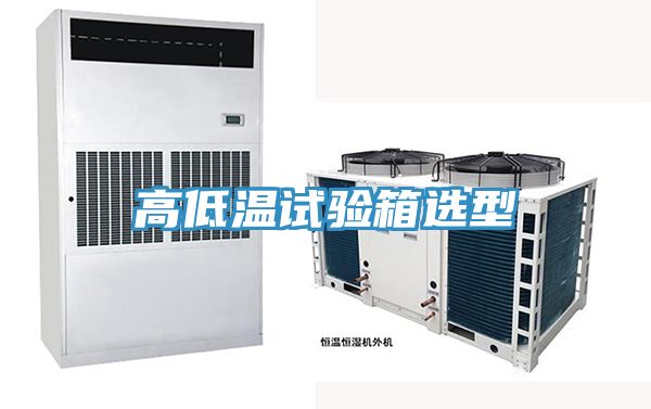 亚洲人成综合第一网站 高低温试验箱选型