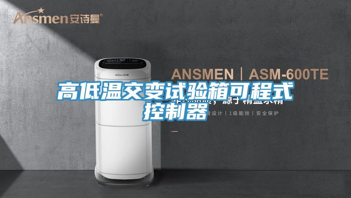 亚洲人成综合第一网站 高低温交变试验箱可程式控制器