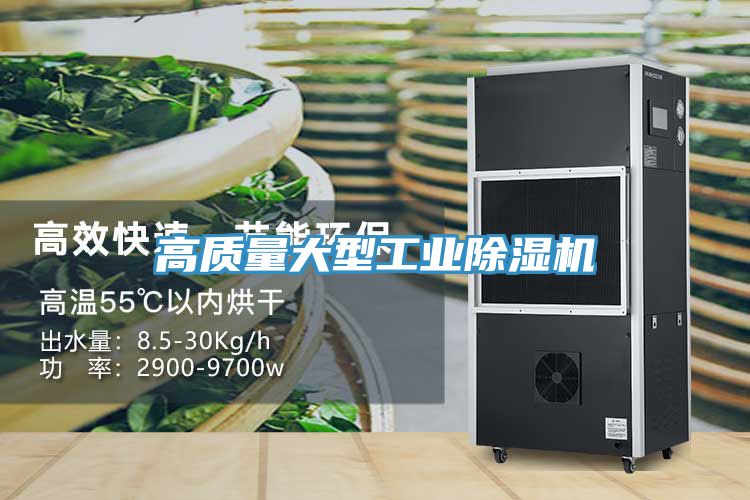 亚洲人成综合第一网站 高质量大型工业除湿机