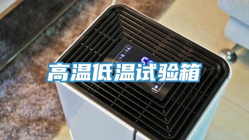 亚洲人成综合第一网站 高温低温试验箱