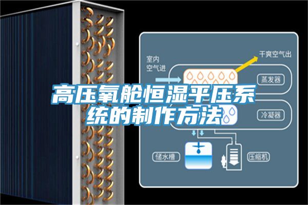 亚洲人成综合第一网站 高压氧舱恒湿平压系统的制作方法