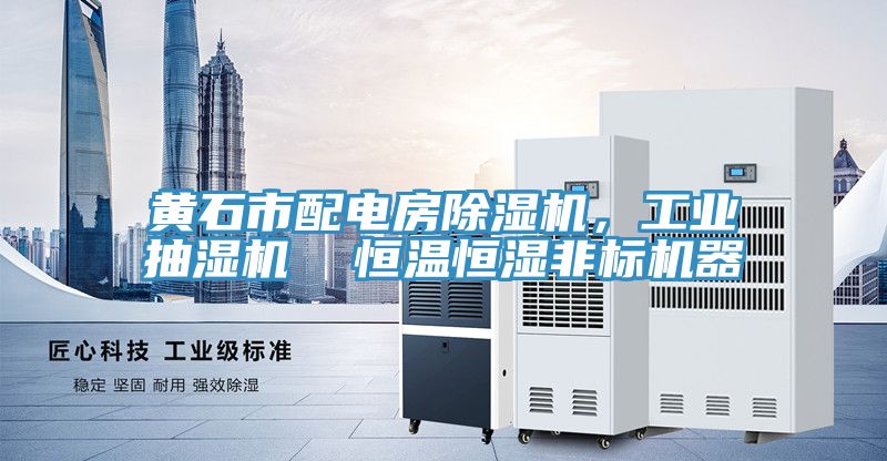 亚洲欧美一级特黄大片 黄石市配电房除湿机，工业抽湿机  恒温恒湿非标机器